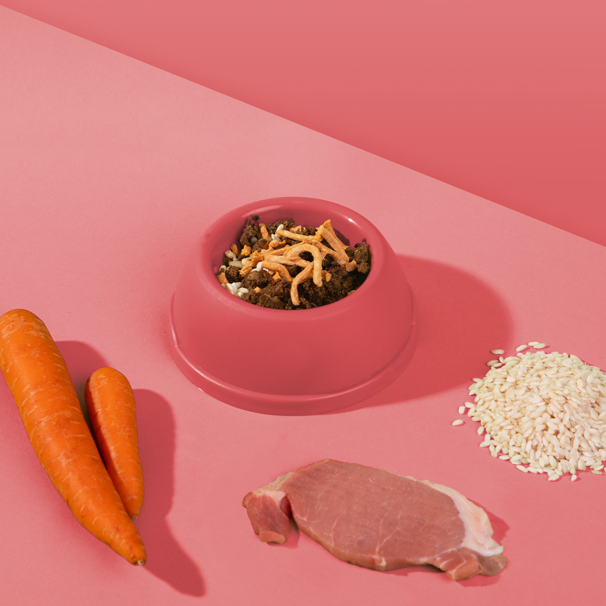 Dr. Woof - Pork and Rice