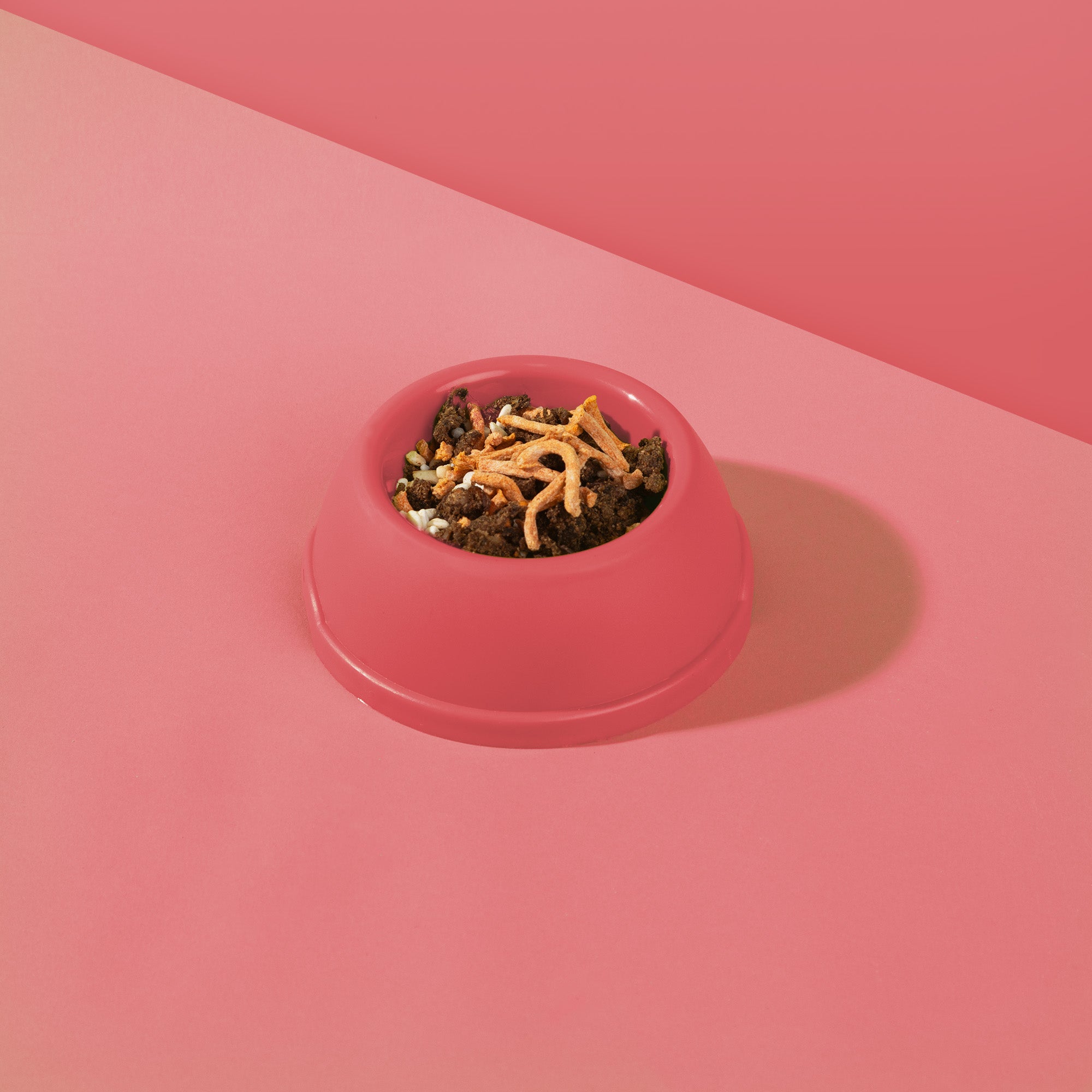 Dr. Woof - Pork and Rice