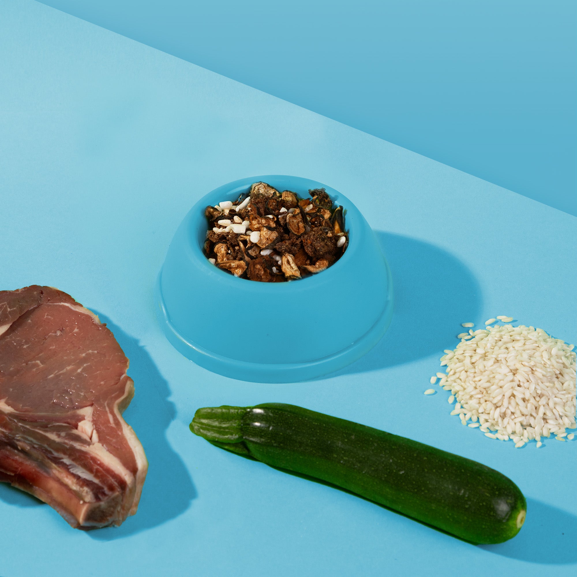 Dr. Woof - Beef and Rice