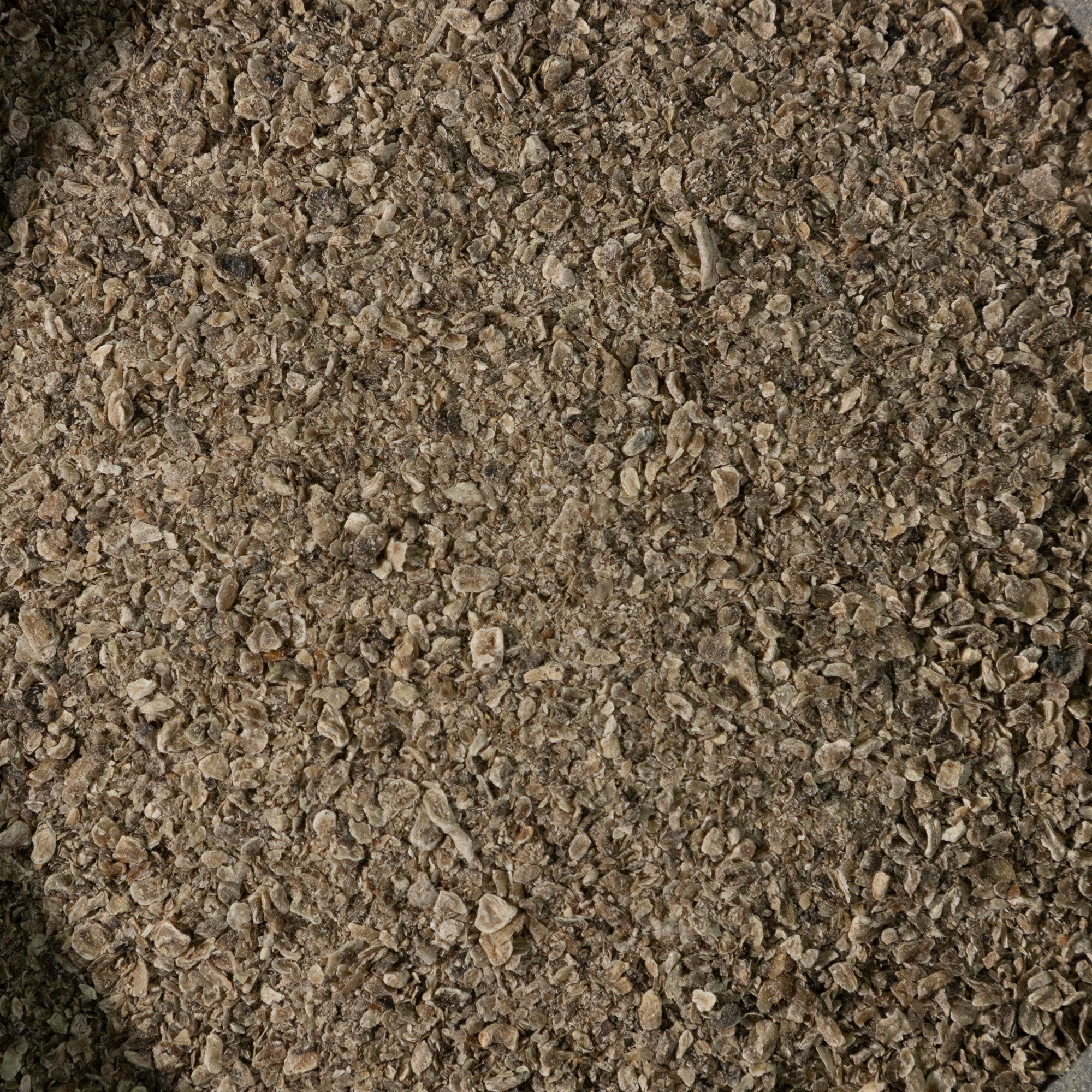Dehydrated Chicory Powder